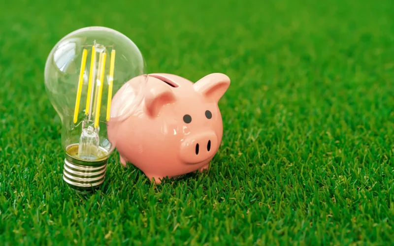 piggy-bank-with-energy-saving-lamp-on-grass-2022-02-03-11-10-22-utc-scaled